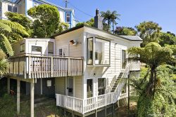 45 Reuben Avenue, Brooklyn, Wellington, 6021, New Zealand