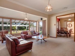 22 Cameron Road, Te Puke, Western Bay Of Plenty, Bay Of Plenty, 3119, New Zealand