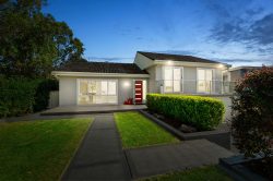 41 Glad Gunson Dr, Eleebana NSW 2282, Australia