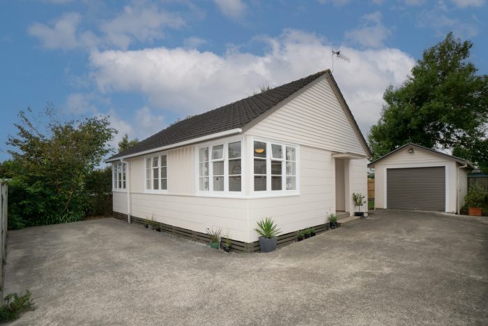 197 Vogel Street, Roslyn, Palmerston North, Manawatu / Whanganui, 4414, New Zealand