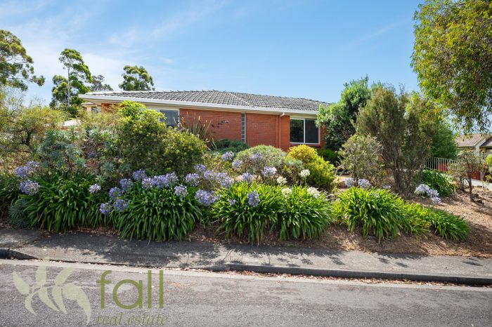 12 Wattle St, Kingston TAS 7050, Australia