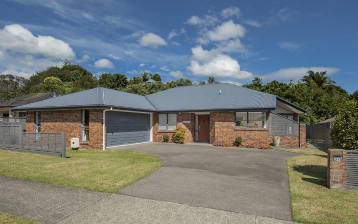 213 Castlewold Drive, Bethlehem, Tauranga, Bay Of Plenty, 3110, New Zealand