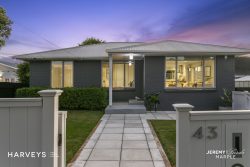 43 Willerton Avenue, New Lynn, Waitakere City, Auckland, 0600, New Zealand