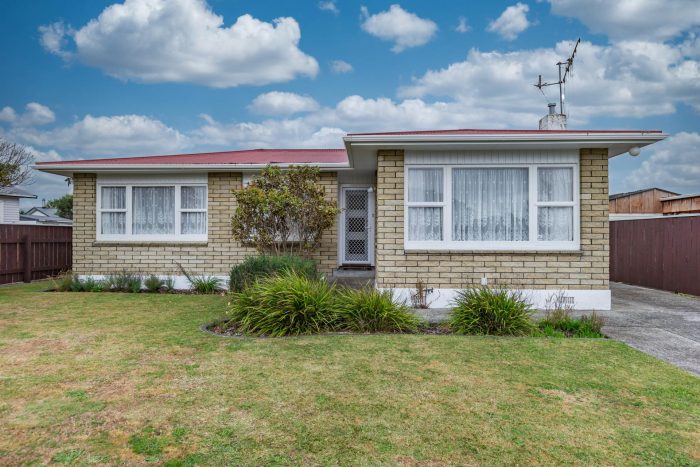 6 Grey Street, Levin, Horowhenua, Manawatu / Whanganui, 5510, New Zealand