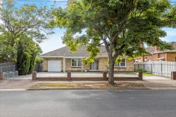 12 Alpha Rd, Prospect SA 5082, Australia