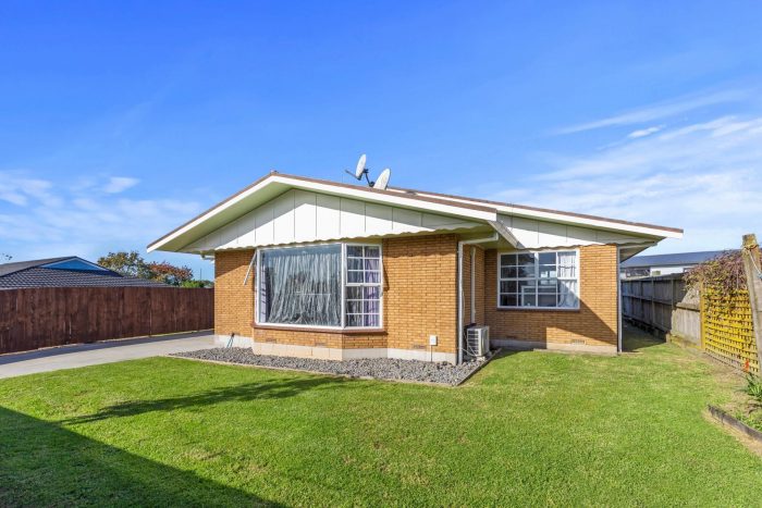 169 Cameron Road, Te Puke, Western Bay Of Plenty, Bay Of Plenty, 3119, New Zealand