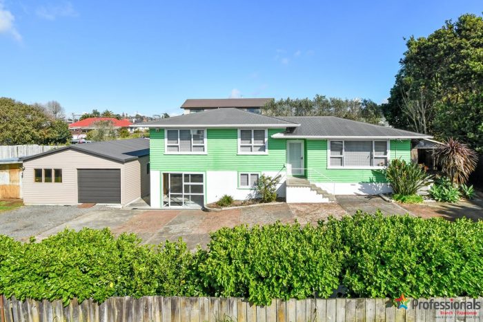 55A Wallace Road, Papatoetoe, Manukau City, Auckland, 2025, New Zealand