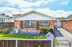 3 Hill Road, Papatoetoe, Manukau City, Auckland, 2025, New Zealand