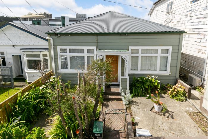 223 Adelaide Road, Newtown, Wellington, 6021, New Zealand