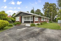 40A Flynn Road, Hillcrest, Hamilton, Waikato, 3216, New Zealand