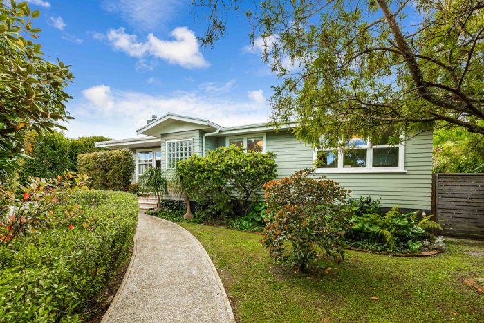 55 Graham Avenue, Te Atatu Peninsula, Waitakere City, Auckland, 0610, New Zealand