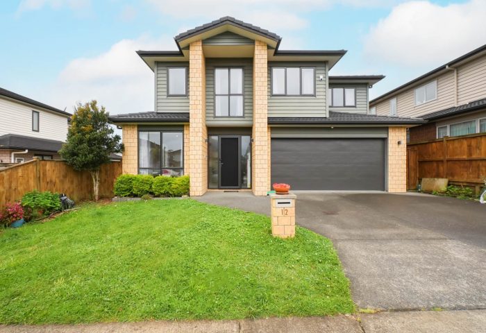 12 Springside Drive, Flat Bush, Manukau City, Auckland, 2019, New Zealand