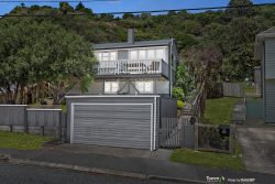 49 Tukanae Street, Strathmore Park, Wellington, 6022, New Zealand