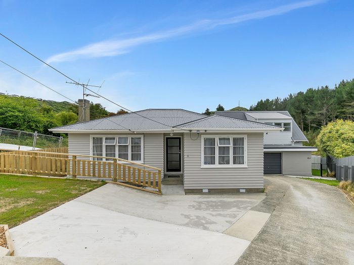 25 York Place, Cannons Creek, Porirua, Wellington, 5024, New Zealand