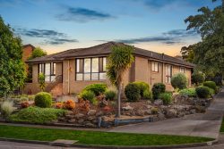 52 Petronella Ave, Wheelers Hill VIC 3150, Australia