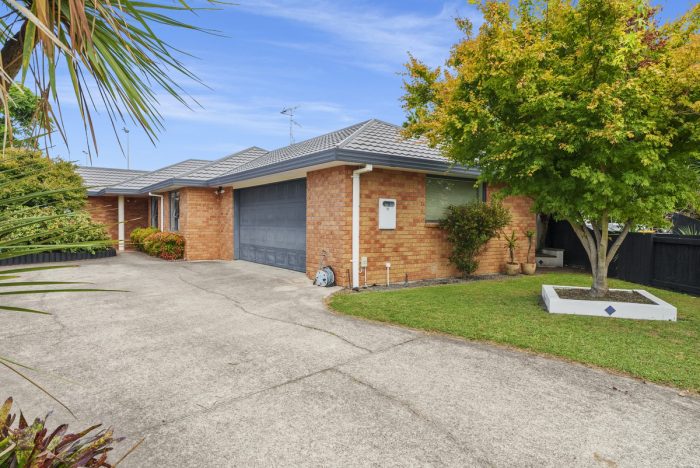 41 Francevic Avenue, Mount Maunganui, Tauranga, Bay Of Plenty, 3116, New Zealand