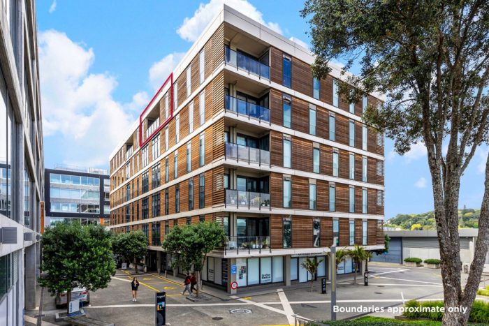 505/8 Nugent Street, Grafton, Auckland, 1023, New Zealand