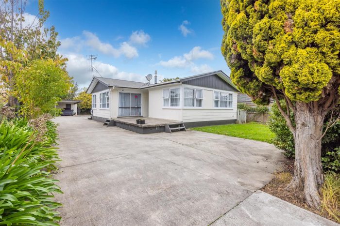 16 Caernarvon Street, Dinsdale, Hamilton, Waikato, 3204, New Zealand