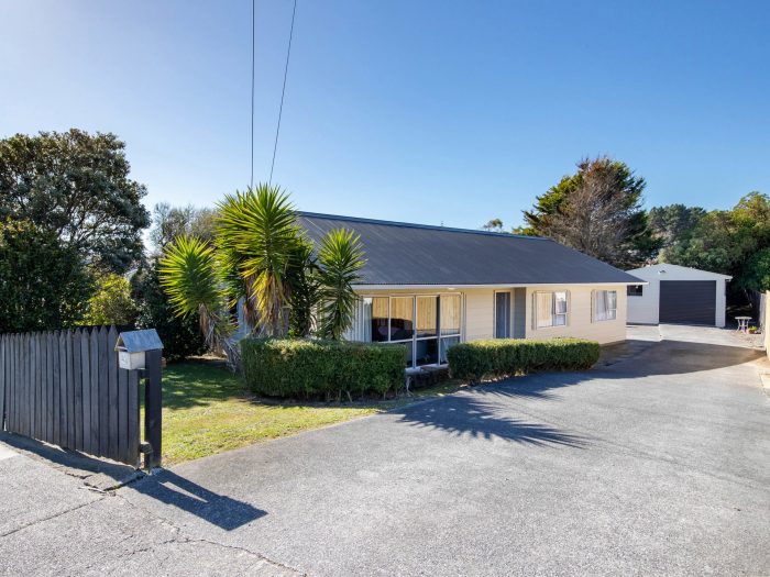 43 Levant Street, Cannons Creek, Porirua, Wellington, 5024, New Zealand