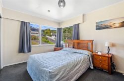 38 Larsen Crescent, Tawa, Wellington, 5028, New Zealand