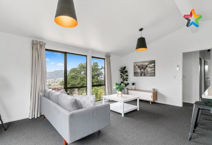 13A Palm Grove, Belmont, Lower Hutt, Wellington, 5010, New Zealand