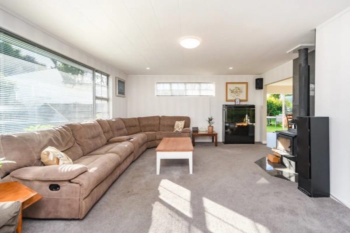 17 Anaru Place, Awapuni, Palmerston North, Manawatu/Whanganui, 4412, New Zealand