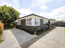 17 Challinor Street, Pukete, Hamilton, Waikato, 3200, New Zealand