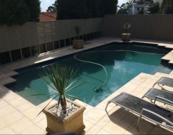 Swimming Pool Maintenance Franchise