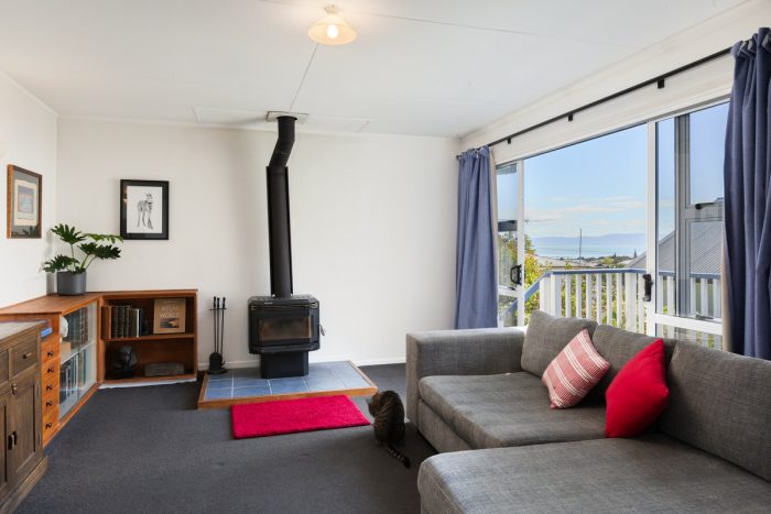 202 The Terrace, Thames, Thames-Coromandel, Waikato, 3500, New Zealand