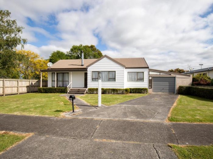 29 Mahana Road, Ngatea, Hauraki, Waikato, 3503, New Zealand