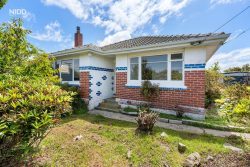 15 Delta Drive, Waldronville, Dunedin, Otago, 9018, New Zealand