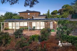 14 Highfield Ave, Warranwood VIC 3134, Australia