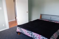 6 Lazar Street, North East Valley, Dunedin, Otago, 9010, New Zealand