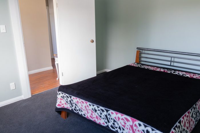 6 Lazar Street, North East Valley, Dunedin, Otago, 9010, New Zealand