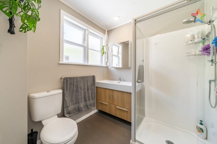 13 Chapman Crescent, Naenae, Lower Hutt, Wellington, 5011, New Zealand