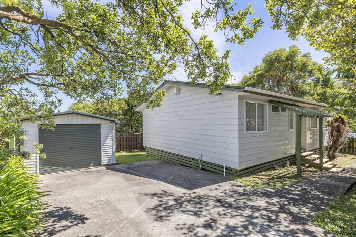 21A Omapere Street, Whitby, Porirua, Wellington, 5024, New Zealand