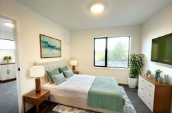 13 Henderson Street, Mornington, Dunedin, Otago, 9011, New Zealand