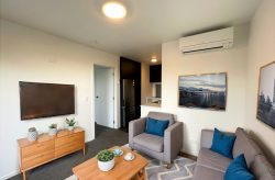 13 Henderson Street, Mornington, Dunedin, Otago, 9011, New Zealand
