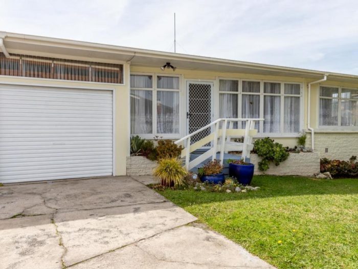 2/39 Arney Street, Paeroa, Hauraki, Waikato, 3600, New Zealand
