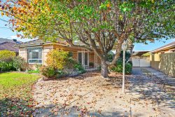 4 Brooks St, Fawkner VIC 3060, Australia