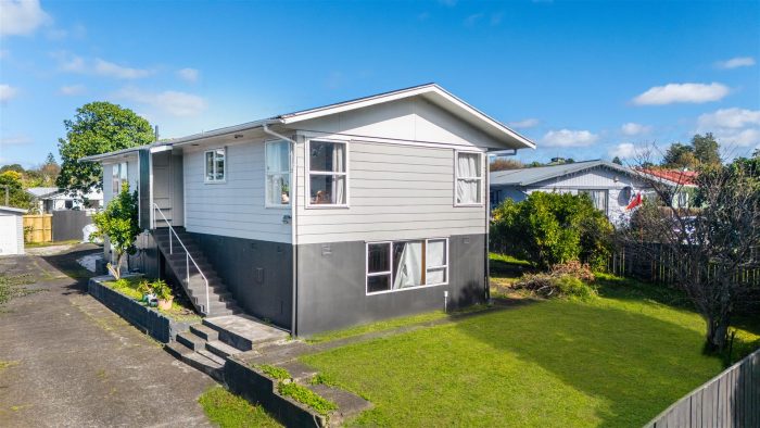 282 Buckland Road, Mangere East, Manukau City, Auckland, 2024, New Zealand