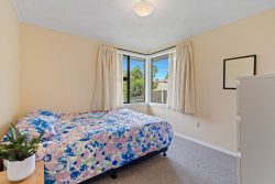 17 Colquhoun Street, Glenross, Dunedin, Otago, 9011, New Zealand
