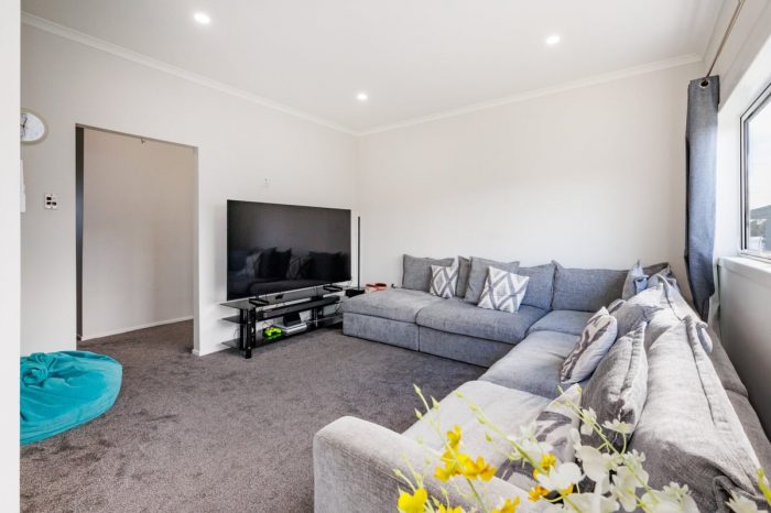 576 Ferguson Street, Terrace End, Palmerston North, Manawatu / Whanganui, 4410, New Zealand