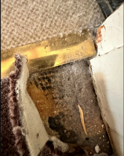 Asbesthaltiger Boden & Bodenkleber & Floorflexplatten Wachtberg