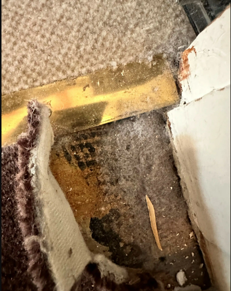 Asbesthaltiger Boden & Bodenkleber & Floorflexplatten Wachtberg