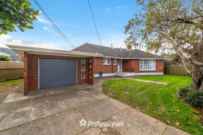 151 Kings Crescent, Lower Hutt, Wellington, 5010, New Zealand