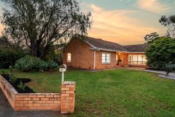 12 Lynne Ct, Marion SA 5043, Australia
