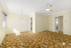 52 Dorothea St, Cannon Hill QLD 4170, Australia