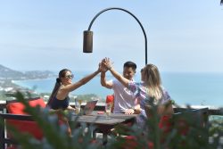 Timhansuccessinsider