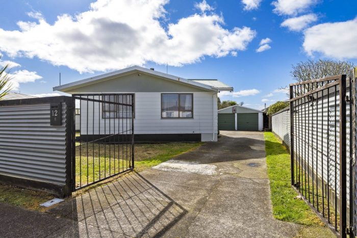 12 Exeter Street, Stratford, Taranaki, 4332, New Zealand